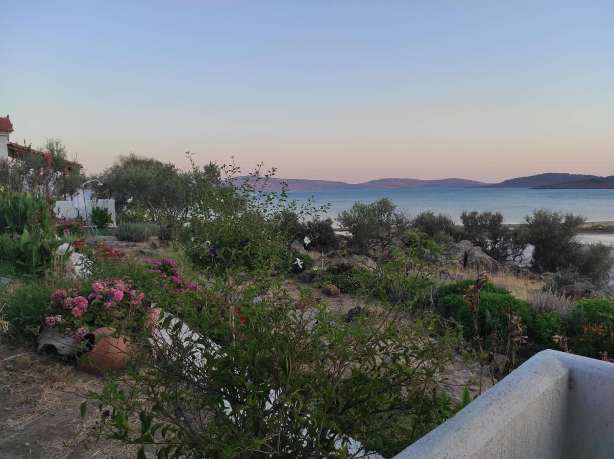 "Koukmos Beach" Greenspace Living - Private Sandy Beach Parakoila Екстер'єр фото